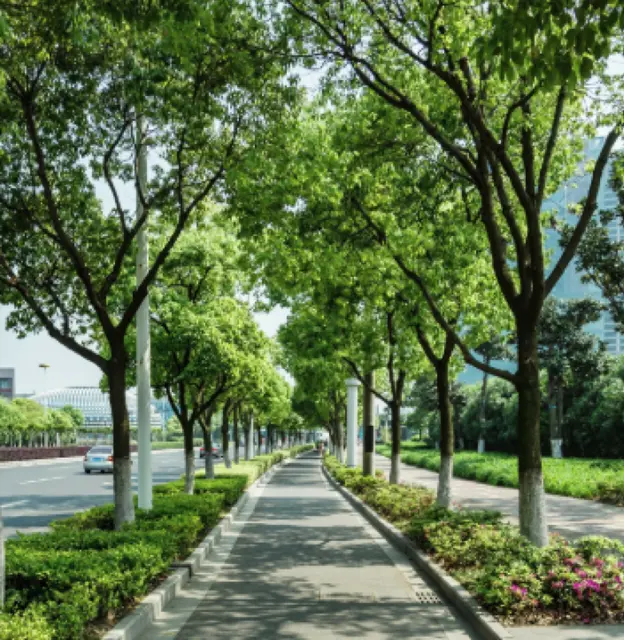 Park
