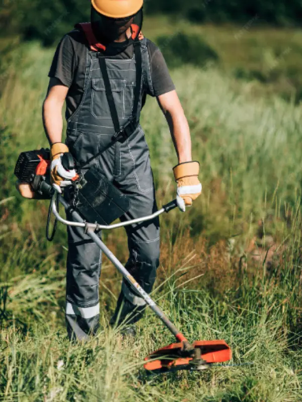 Propozycje zmian w utrzymaniu i pielęgnacji dla większej efektywności