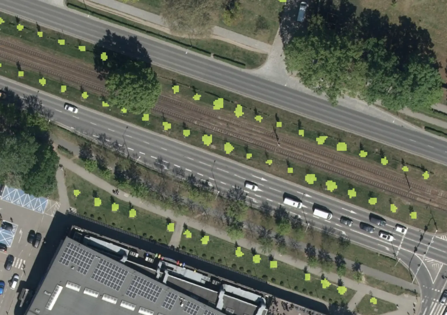 Przyrost drzew i nasadzeń